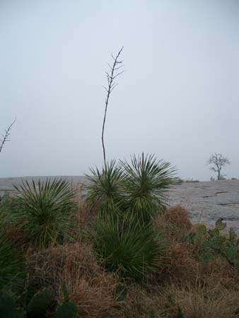 CIMG0080